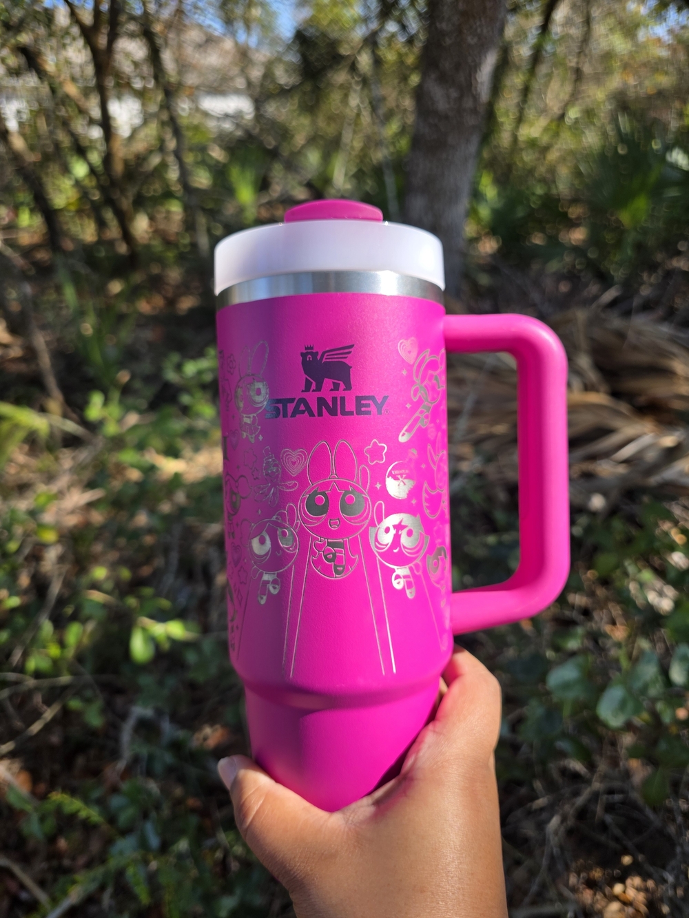 Stanley Pink Powerpuff Girls 30oz Fuschia